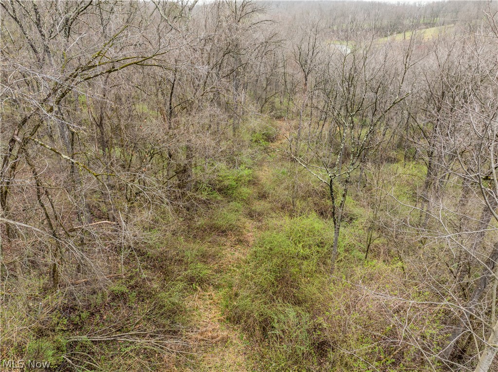 Buck Hill Road Frazeysburg, OH 43822 - Photo 21 of 24