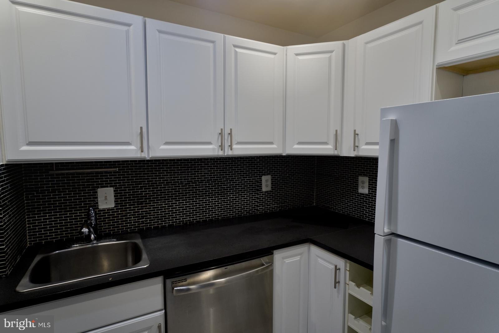 301 I Street Southwest, Unit 108 Washington, DC 20024 - Photo 7 of 66 a close view of sink and cabinets