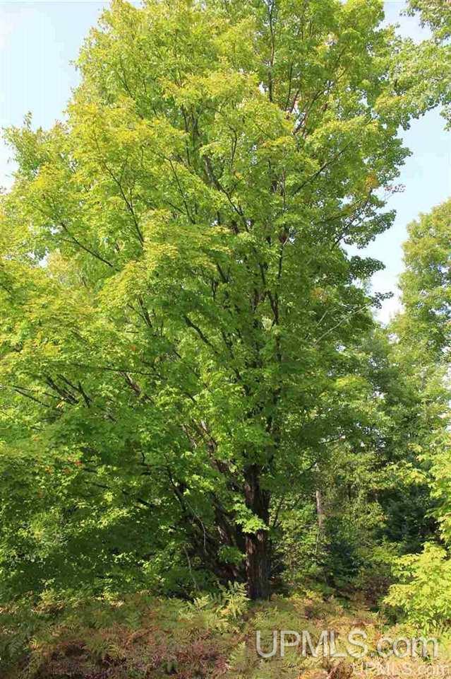 23827 Hulkonen Road Nisula, MI 49952 - Photo 23 of 44 Gallery Image 23