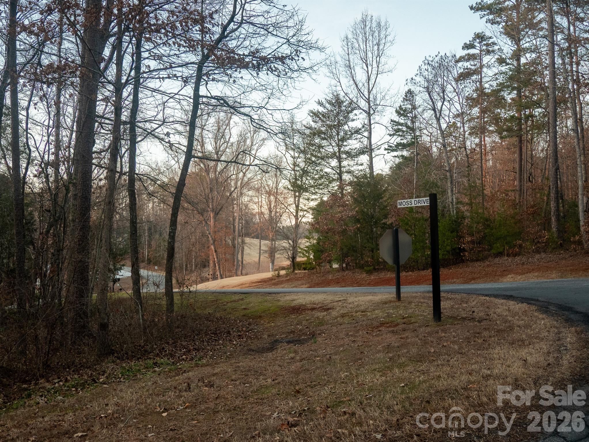 0 Moss Drive Rutherfordton, NC 28139 - Photo 5 of 6 a view of road with large trees