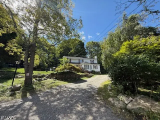 a view of a tree in the middle of a yard