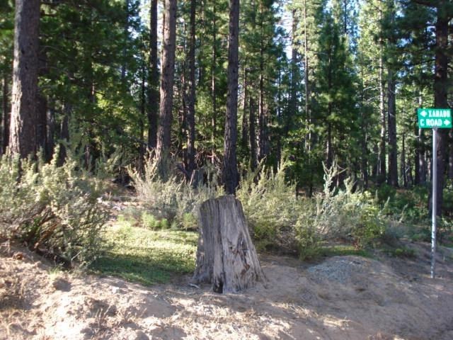2001 C Road Clio, CA 96106 - Photo 6 of 15 Gallery Image 6