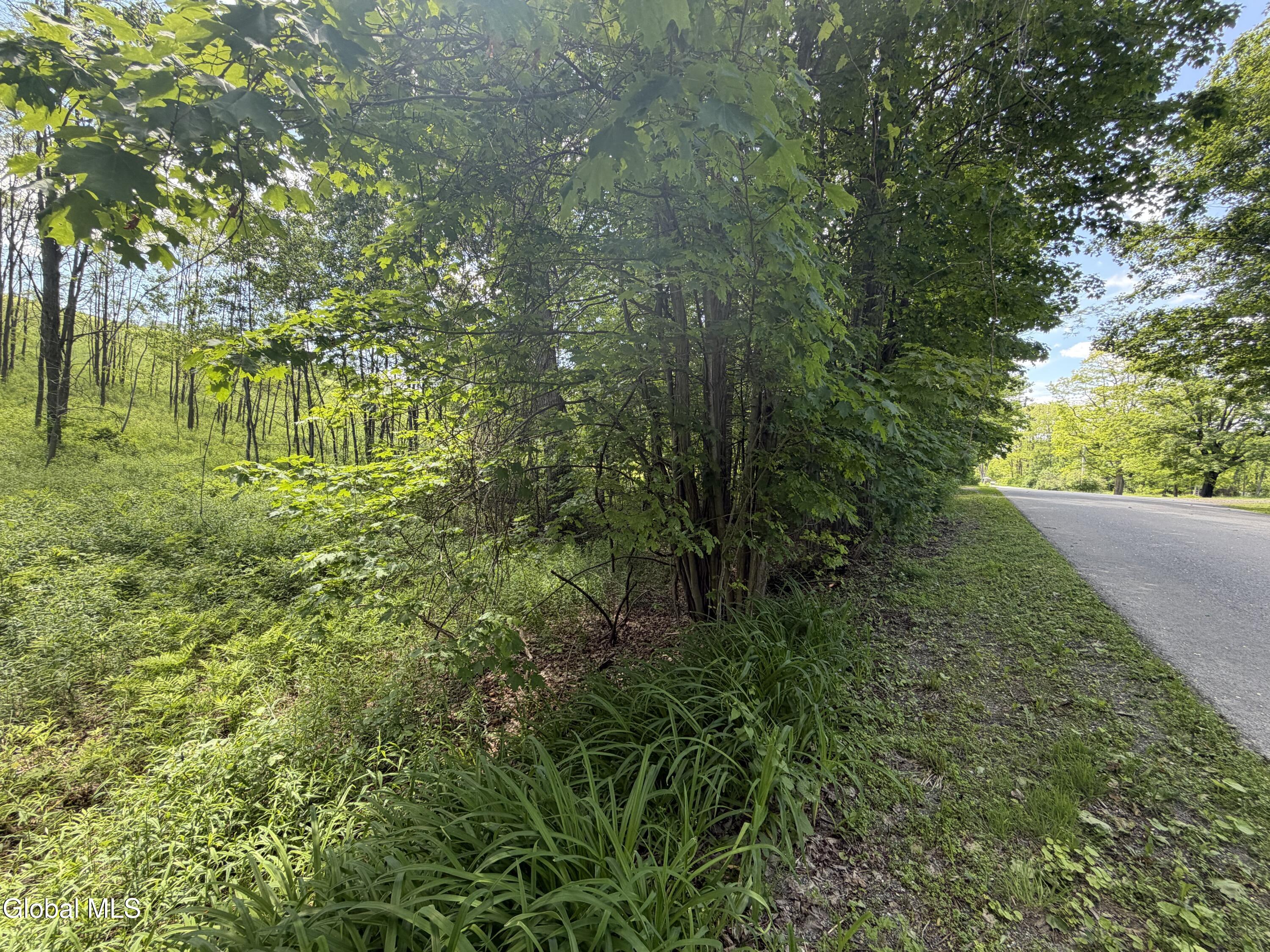 L132.5 Aldous Road Granville, NY 12832 - Photo 12 of 23 4031