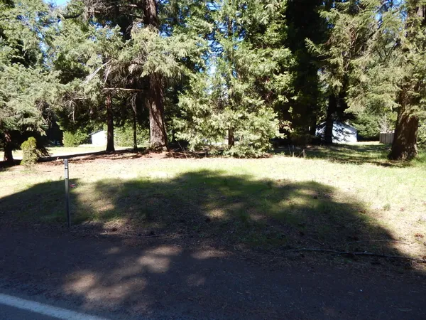 $45,000 | Red Blanket Road, Prospect, OR 97536