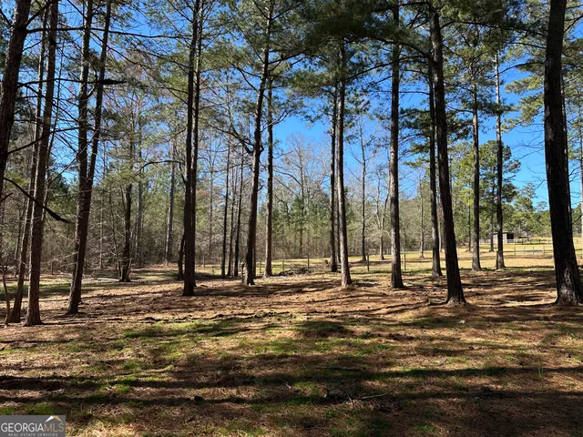 $2,250,000 | 175 Acres Roosevelt Highway, Warm Springs, GA 31830