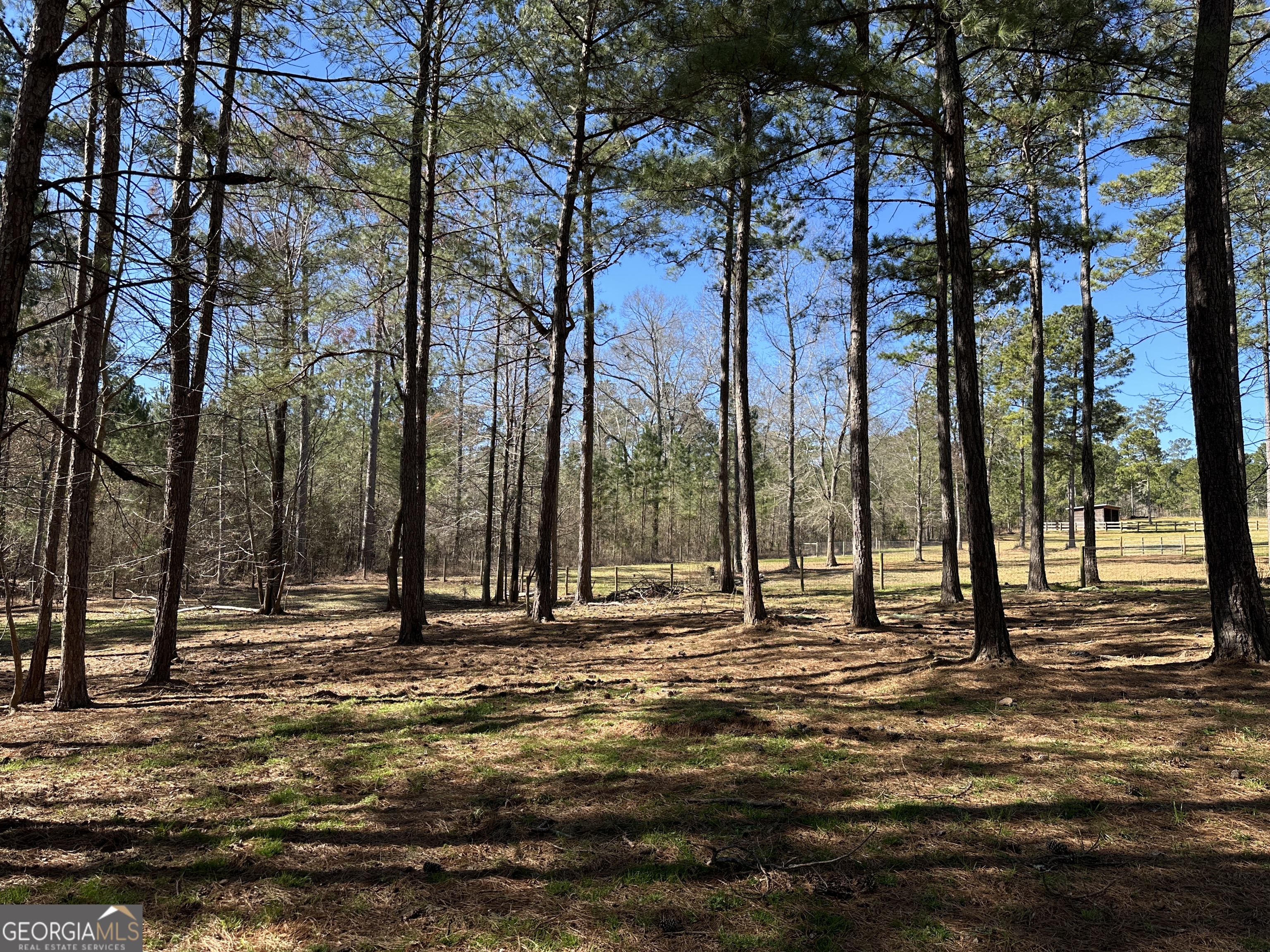 175 Acres Roosevelt Highway Warm Springs, GA 31830 - Photo 105 of 108