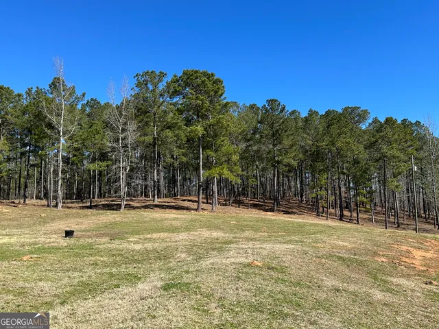 $2,250,000 | 175 Acres Roosevelt Highway, Warm Springs, GA 31830