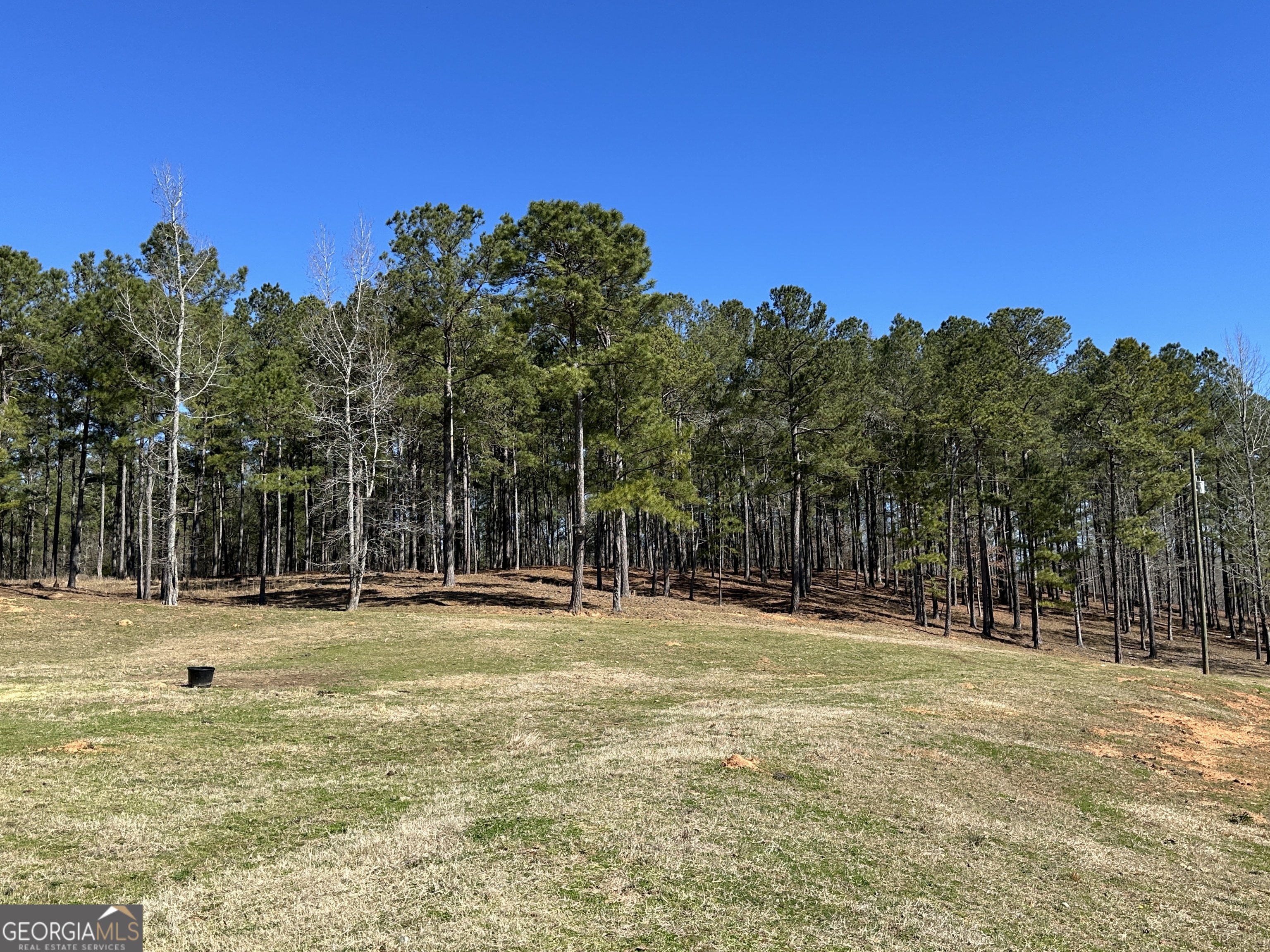 175 Acres Roosevelt Highway Warm Springs, GA 31830 - Photo 106 of 108