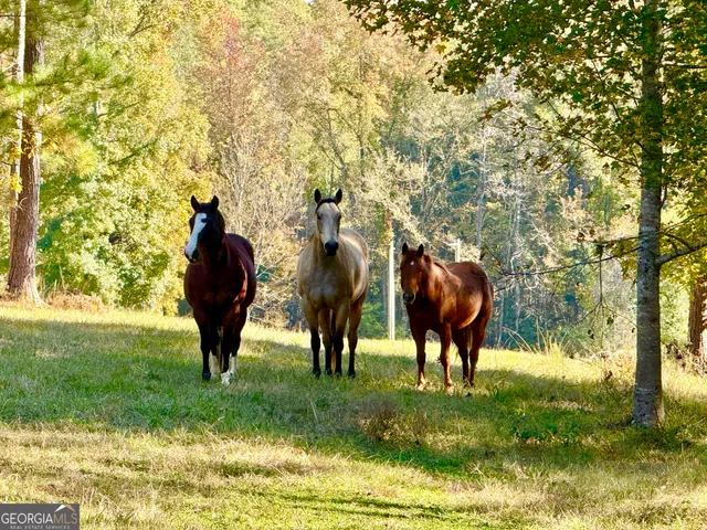 $2,250,000 | 175 Acres Roosevelt Highway, Warm Springs, GA 31830