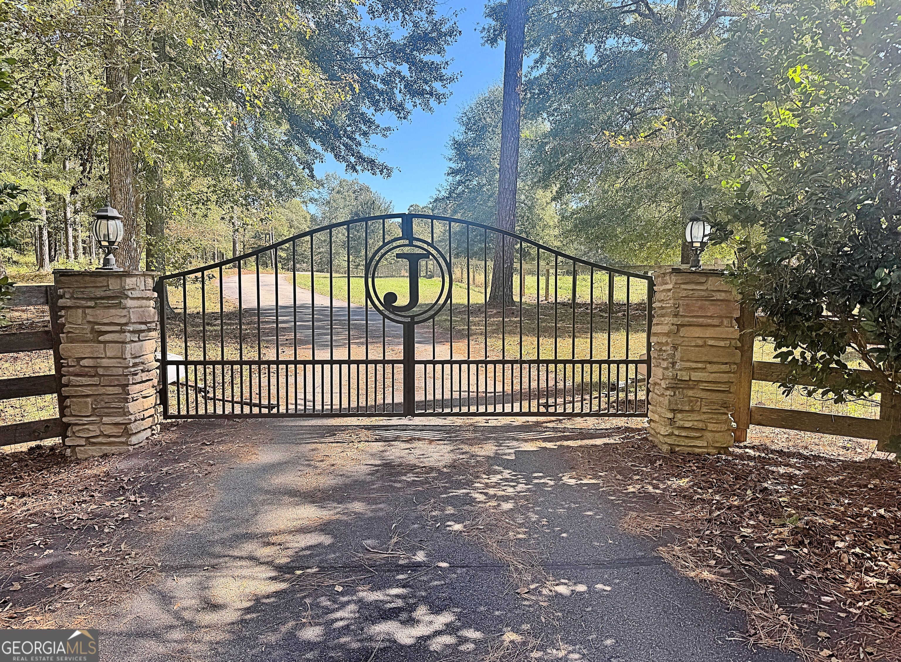 175 Acres Roosevelt Highway Warm Springs, GA 31830 - Photo 11 of 108