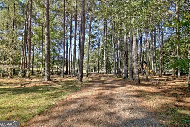 $2,250,000 | 175 Acres Roosevelt Highway, Warm Springs, GA 31830