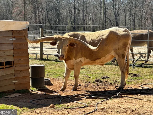 $2,250,000 | 175 Acres Roosevelt Highway, Warm Springs, GA 31830