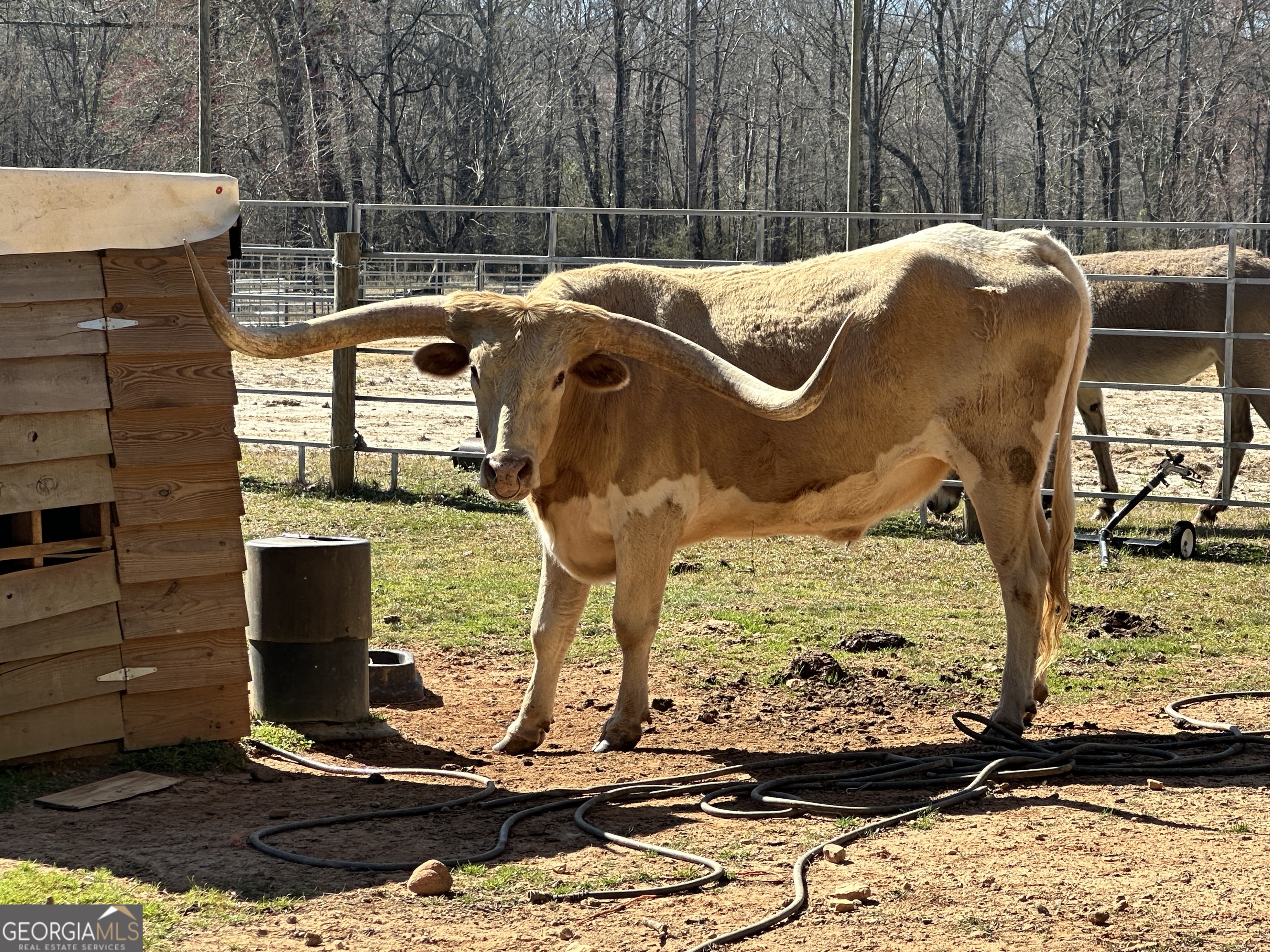 175 Acres Roosevelt Highway Warm Springs, GA 31830 - Photo 79 of 108