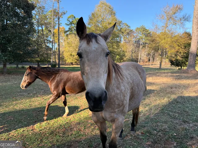 $2,250,000 | 175 Acres Roosevelt Highway, Warm Springs, GA 31830