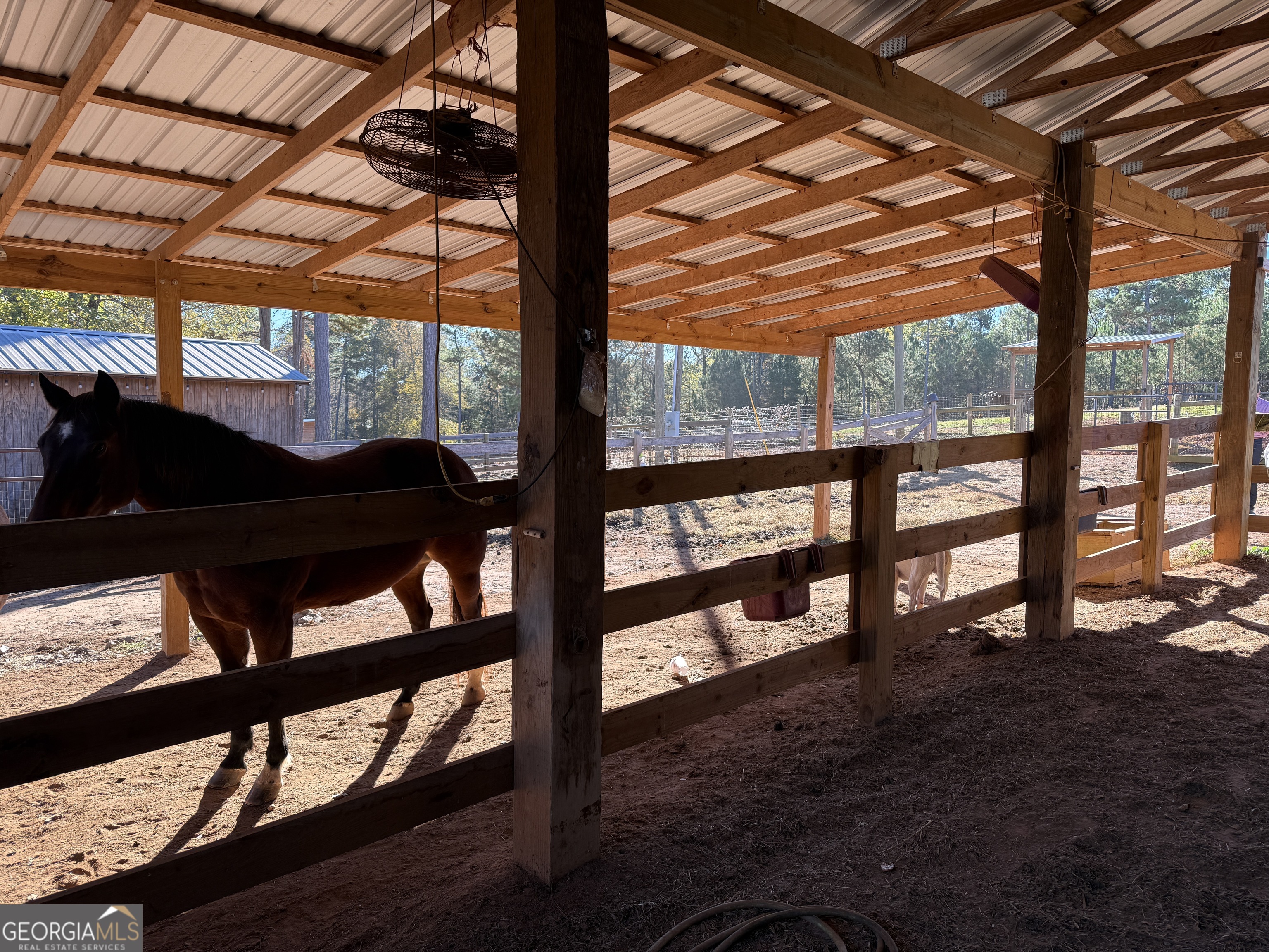 175 Acres Roosevelt Highway Warm Springs, GA 31830 - Photo 82 of 108