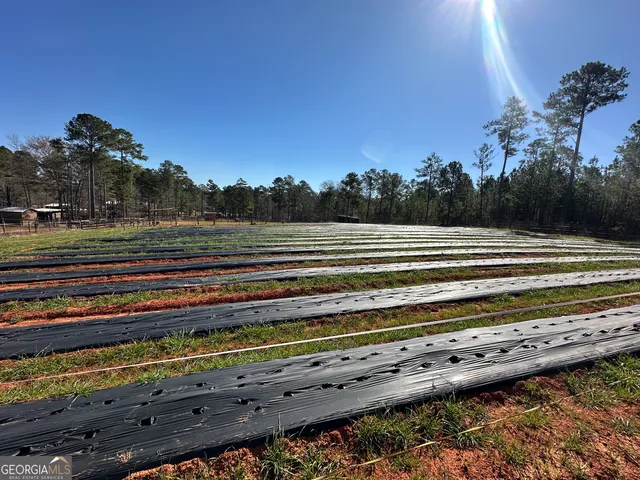 $2,250,000 | 175 Acres Roosevelt Highway, Warm Springs, GA 31830