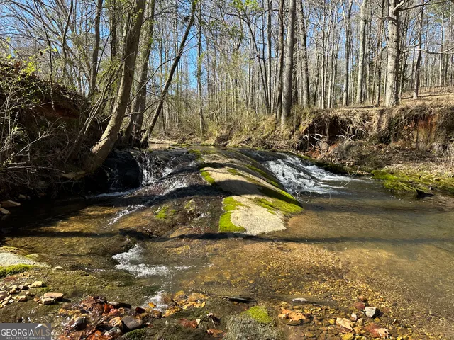 $2,250,000 | 175 Acres Roosevelt Highway, Warm Springs, GA 31830