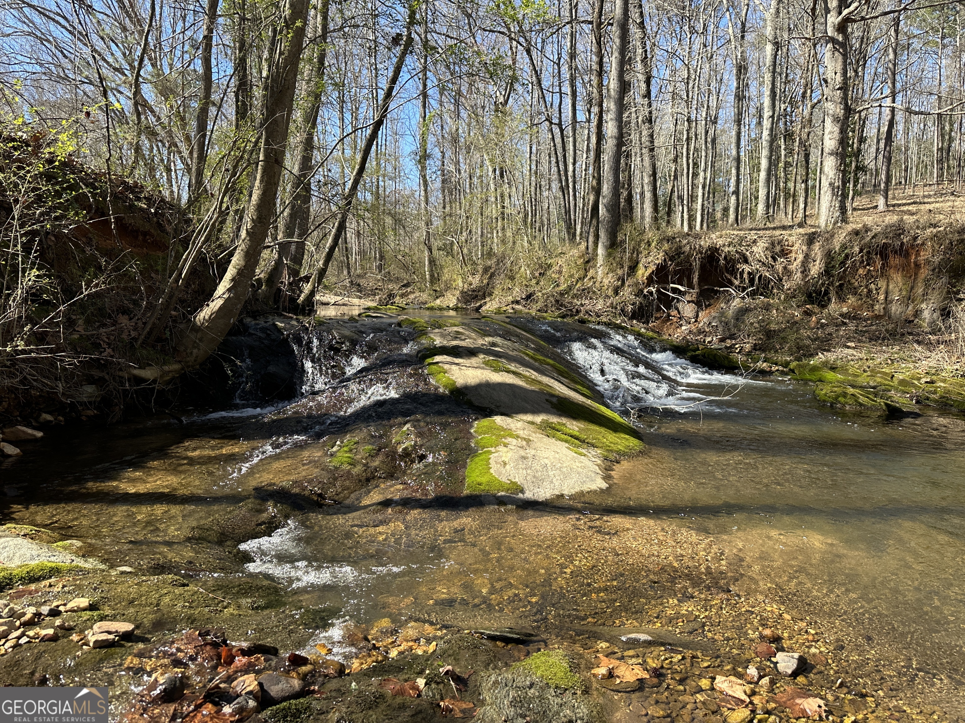 175 Acres Roosevelt Highway Warm Springs, GA 31830 - Photo 97 of 108