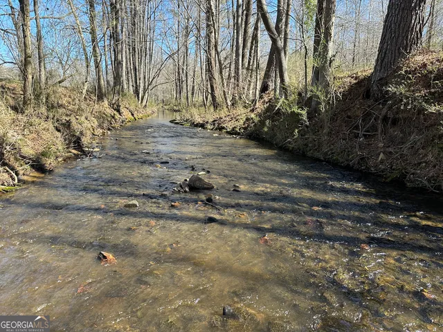 $2,250,000 | 175 Acres Roosevelt Highway, Warm Springs, GA 31830