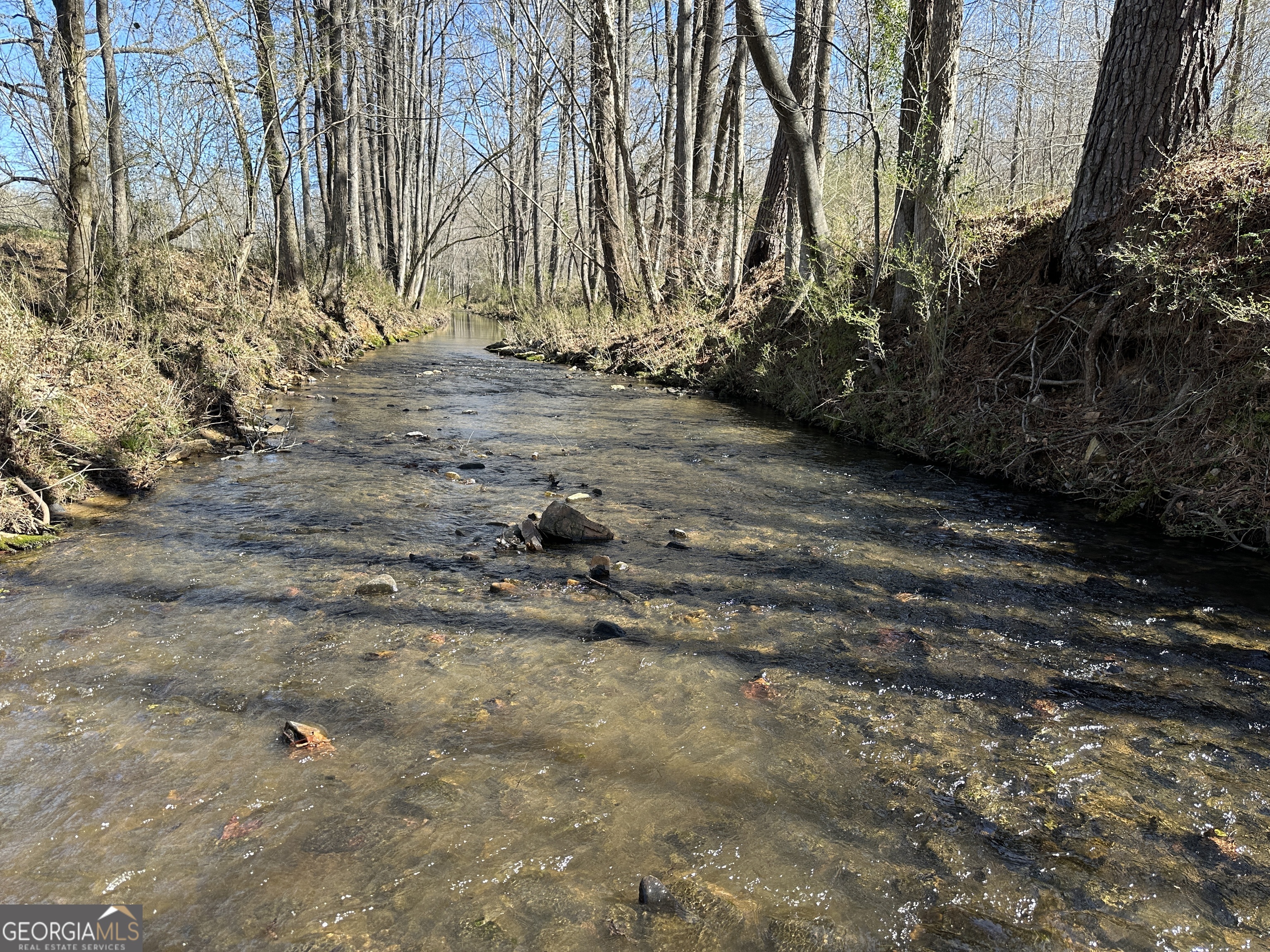 175 Acres Roosevelt Highway Warm Springs, GA 31830 - Photo 98 of 108