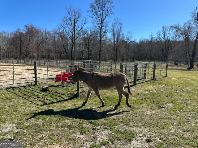 $2,250,000 | 175 Acres Roosevelt Highway, Warm Springs, GA 31830