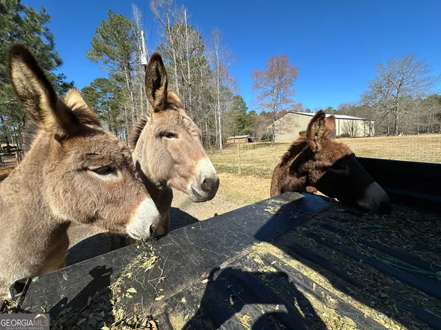 $2,250,000 | 175 Acres Roosevelt Highway, Warm Springs, GA 31830