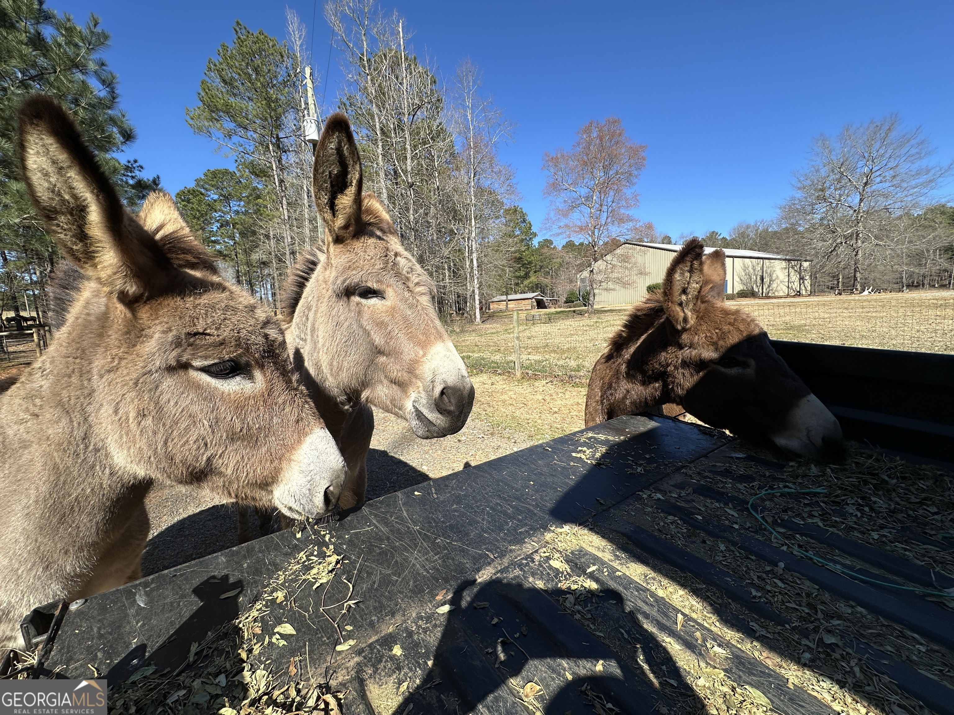 175 Acres Roosevelt Highway Warm Springs, GA 31830 - Photo 100 of 108