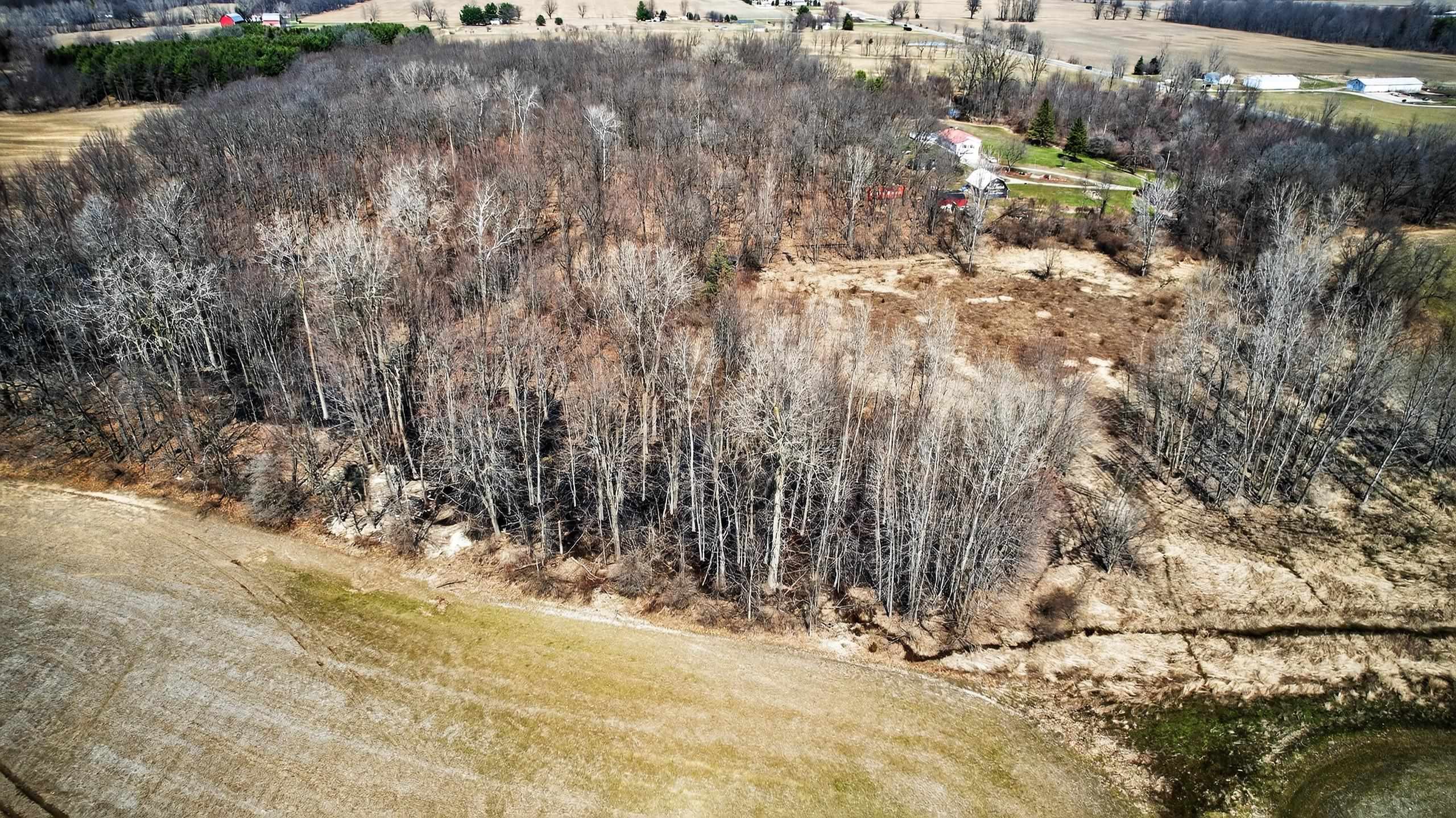 V/l South State Road Bancroft, MI 48414 - Photo 15 of 17