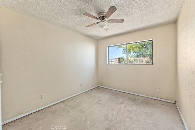 a view of a yard with palm trees