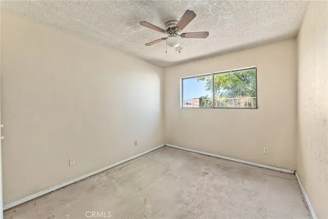 a view of a yard with palm trees