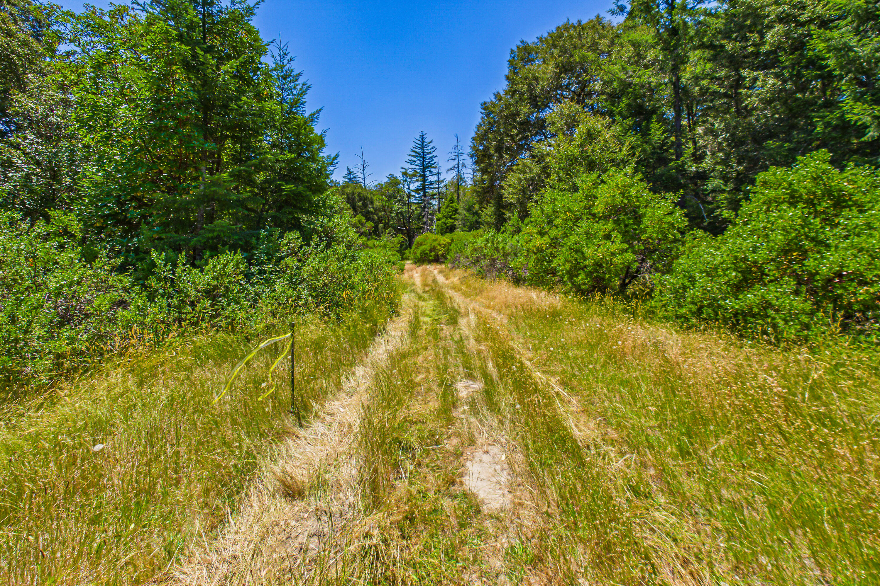 0 Tooby Ranch Road Garberville, CA 95542 - Photo 15 of 81