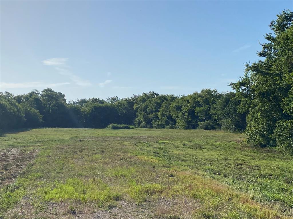 Tbd Ash Lane Wills Point, TX 75169 - Photo 1 of 9 a big yard with lots of green space and fog