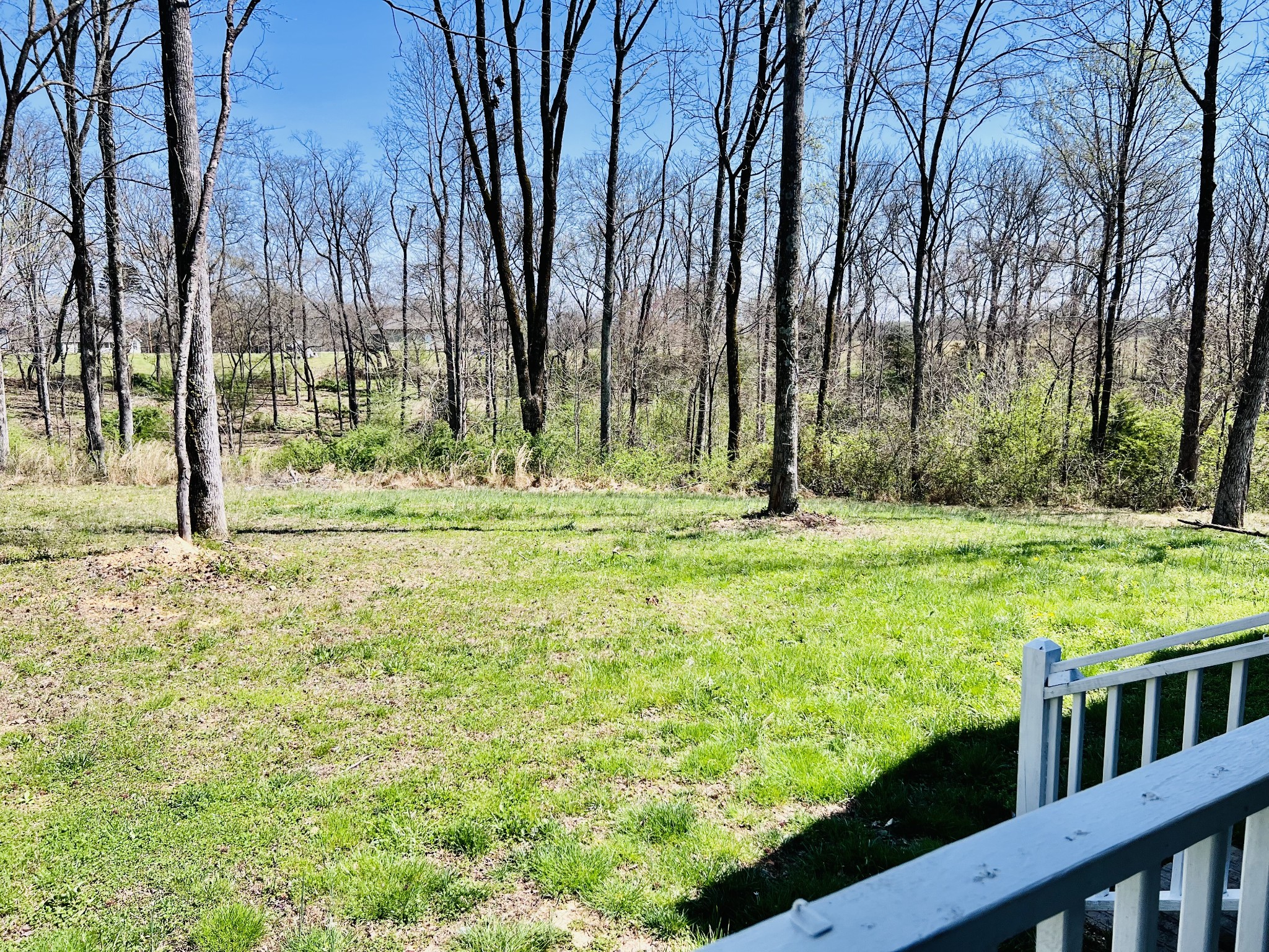 4731 Little Dry Creek Road Pulaski, TN 38478 - Photo 26 of 29