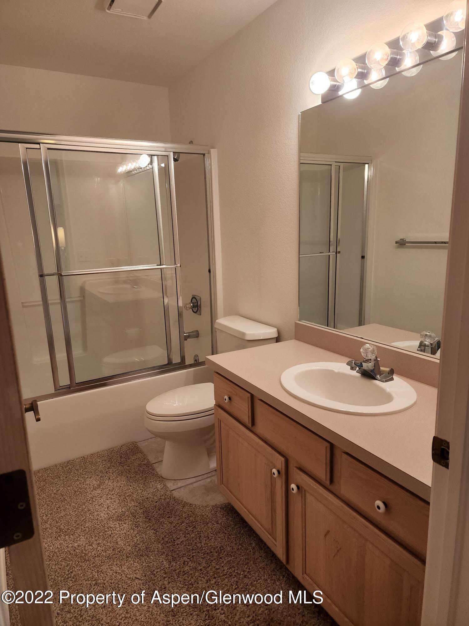 751 Latigo Loop Carbondale, CO 81623 - Photo 28 of 44 a bathroom with a sink a toilet and shower