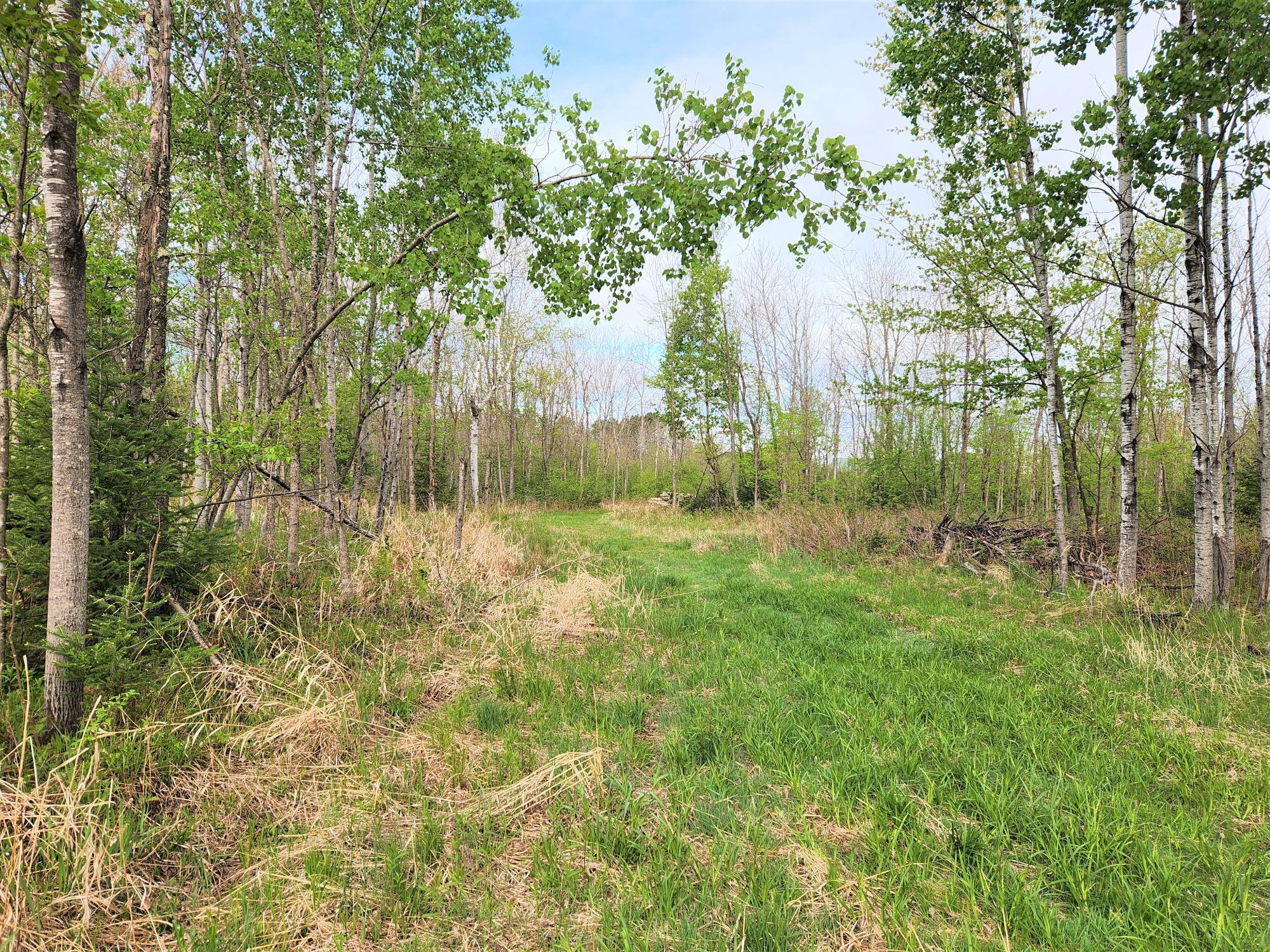 N8218 East Wilson Flowage Road Phillips, WI 54555 - Photo 9 of 18 Gallery Image 9