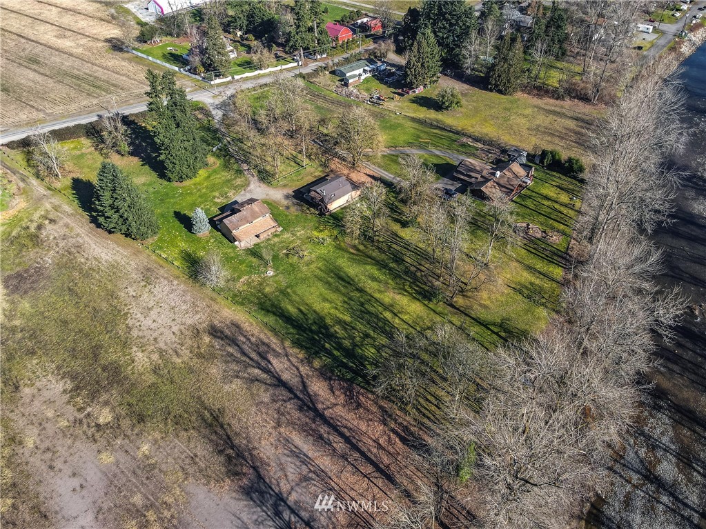 7456 Riverside Drive East Sumner, WA 98390 - Photo 40 of 40 a view of a yard with plants and large trees