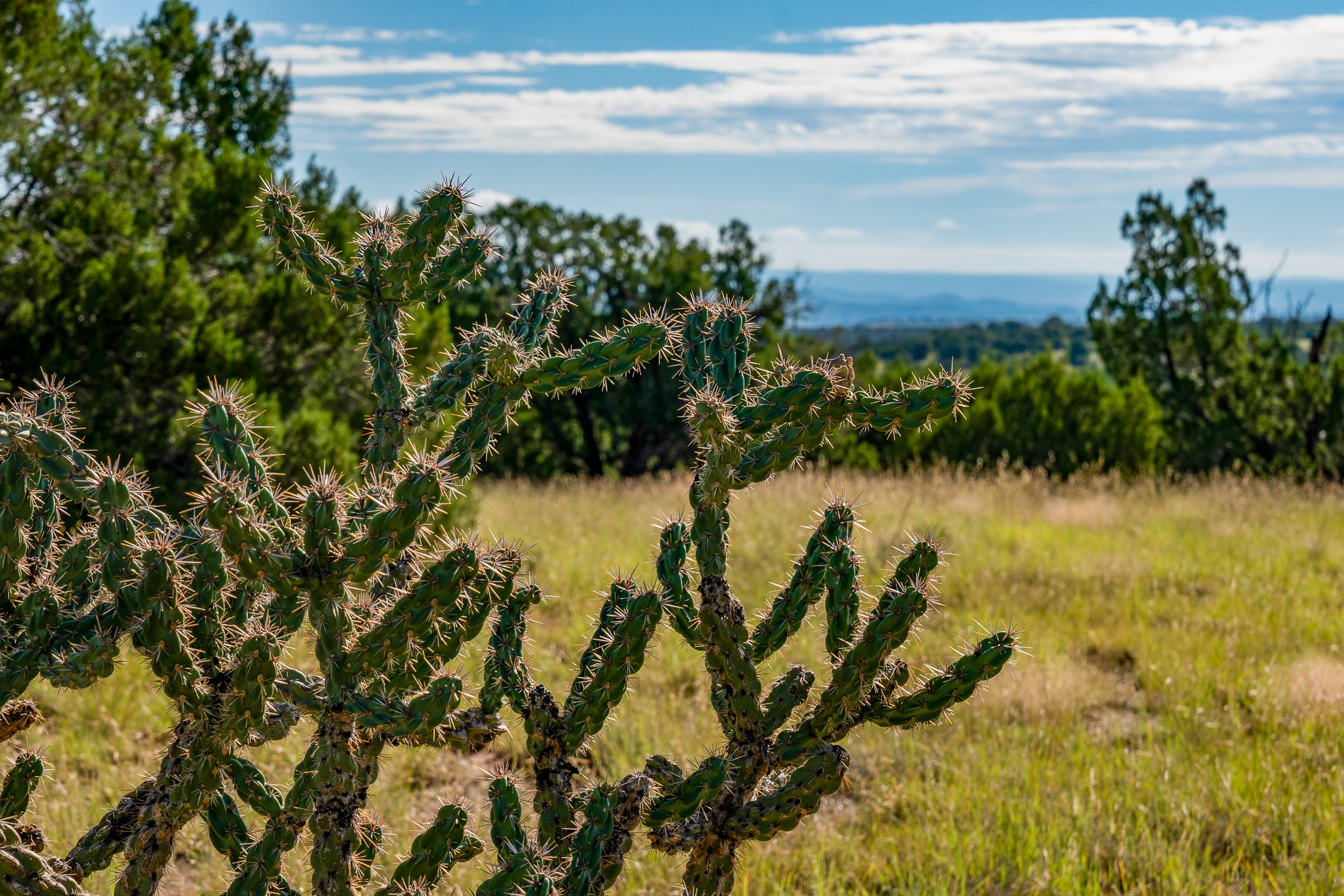 95 Grenfell Ranch Road Cerrillos, NM 87010 - Photo 22 of 47