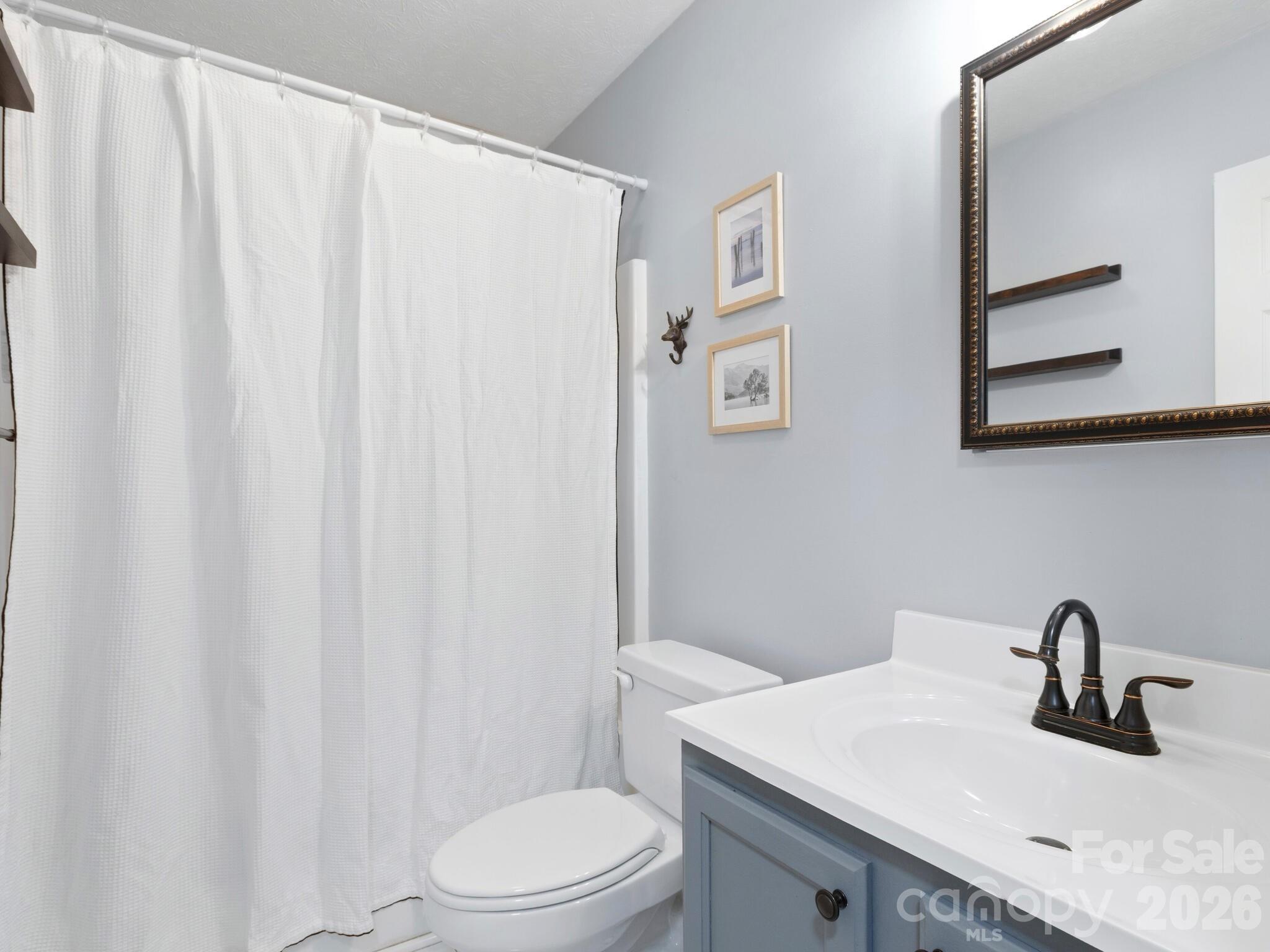 1 Mosers Place Candler, NC 28715 - Photo 23 of 32 a bathroom with a sink a toilet and shower curtain