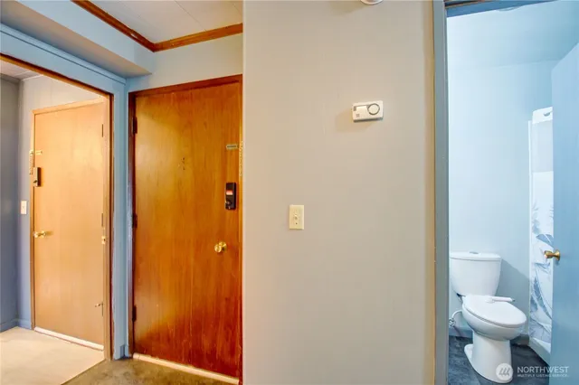 a bathroom with a toilet and a shower