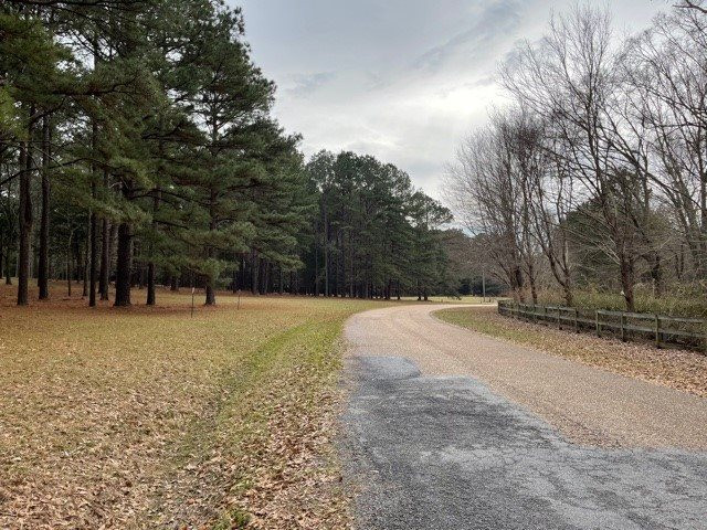 298 Highland Meadow Road, Unit 2 Flora, MS 39071 - Photo 1 of 12 Photo 1