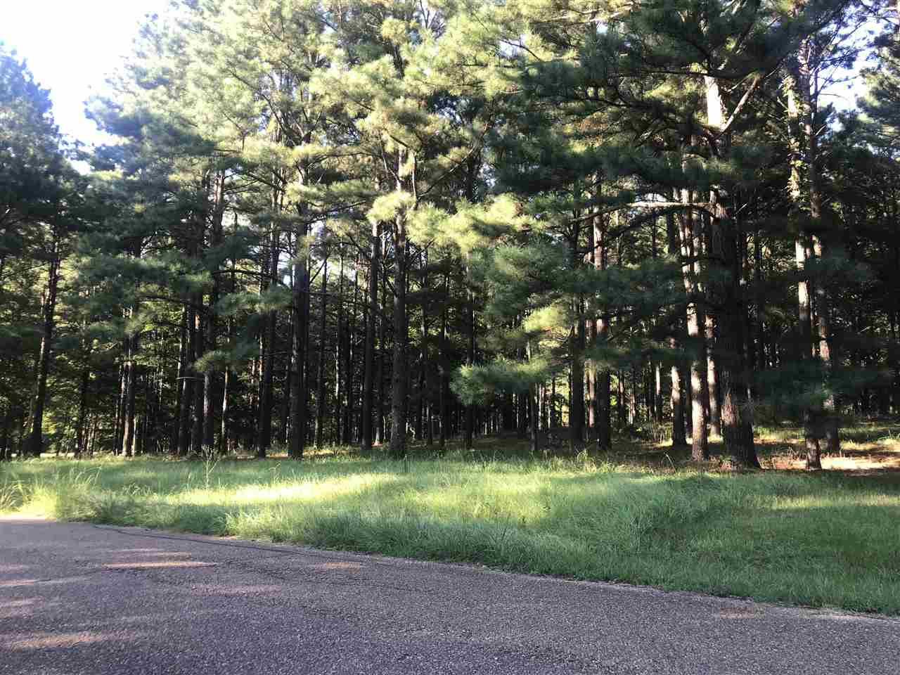298 Highland Meadow Road, Unit 2 Flora, MS 39071 - Photo 12 of 12 Photo 12