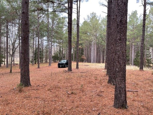 298 Highland Meadow Road, Unit 2 Flora, MS 39071 - Photo 3 of 12 Photo 3