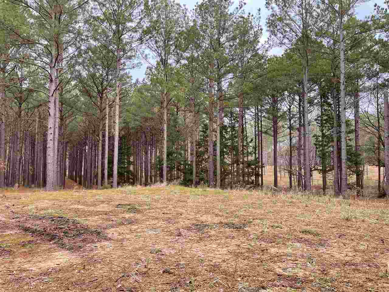 298 Highland Meadow Road, Unit 2 Flora, MS 39071 - Photo 4 of 12 Photo 4