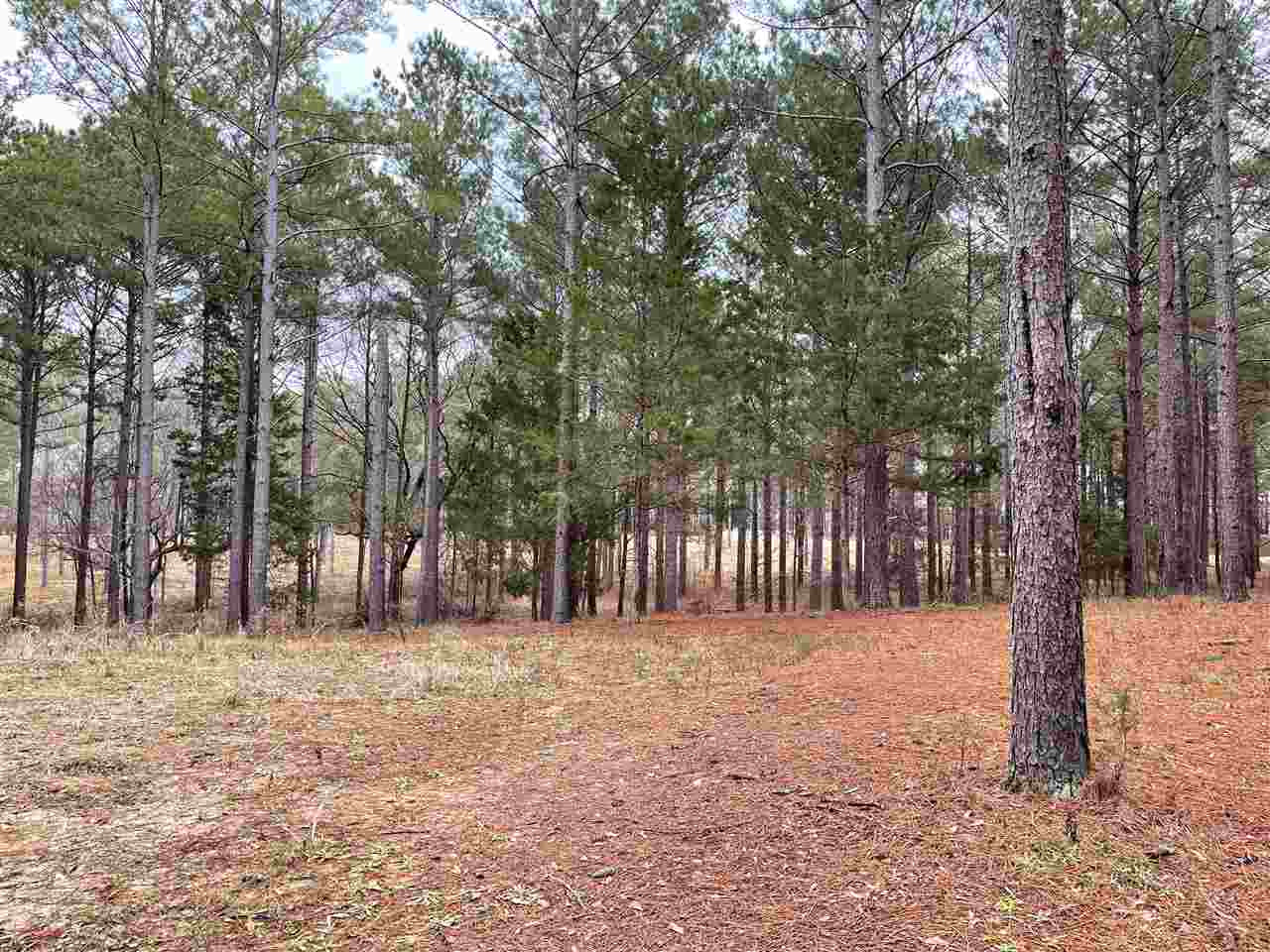 298 Highland Meadow Road, Unit 2 Flora, MS 39071 - Photo 5 of 12 Photo 5