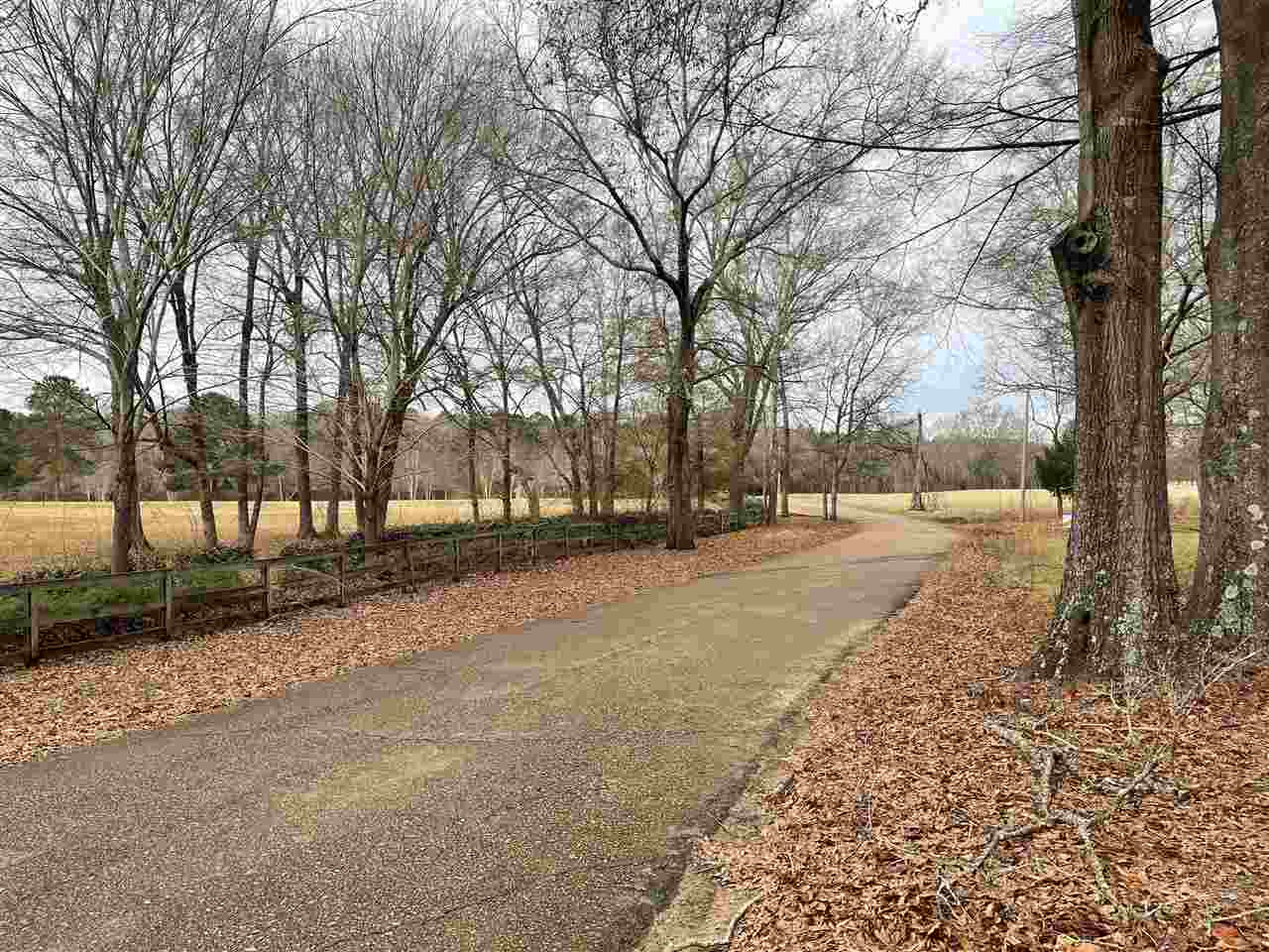 298 Highland Meadow Road, Unit 2 Flora, MS 39071 - Photo 6 of 12 Photo 6