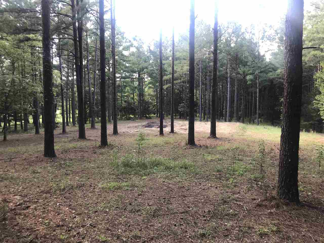 298 Highland Meadow Road, Unit 2 Flora, MS 39071 - Photo 9 of 12 Photo 9