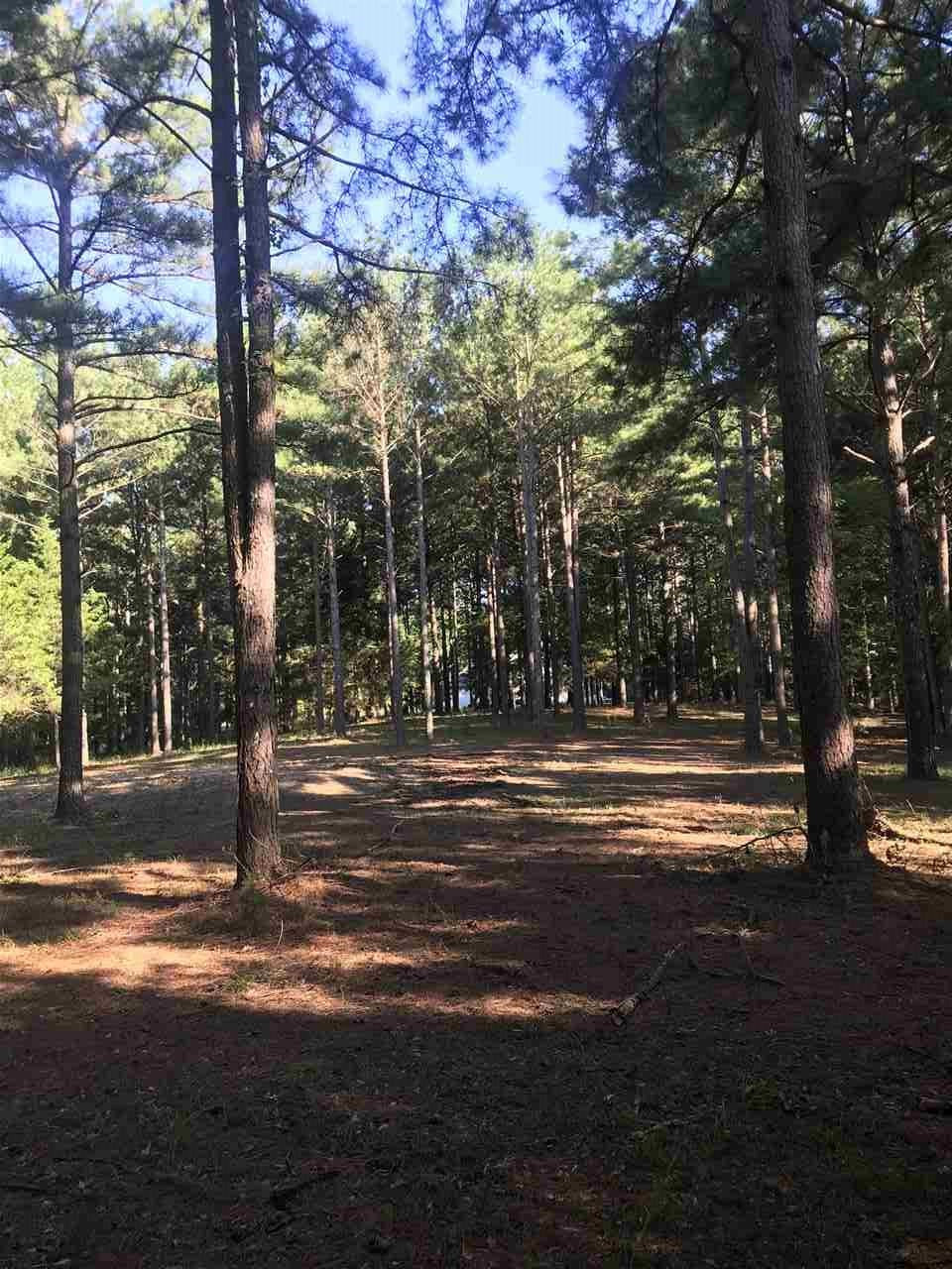 298 Highland Meadow Road, Unit 2 Flora, MS 39071 - Photo 10 of 12 Photo 10
