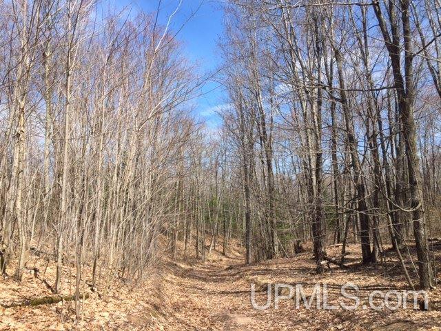 191 B Road Marquette, MI 49855 - Photo 14 of 16