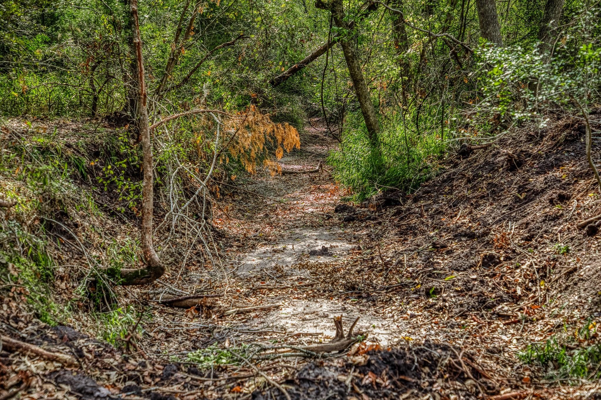 Tbd Sun Oil Road Brenham, TX 77833 - Photo 30 of 37