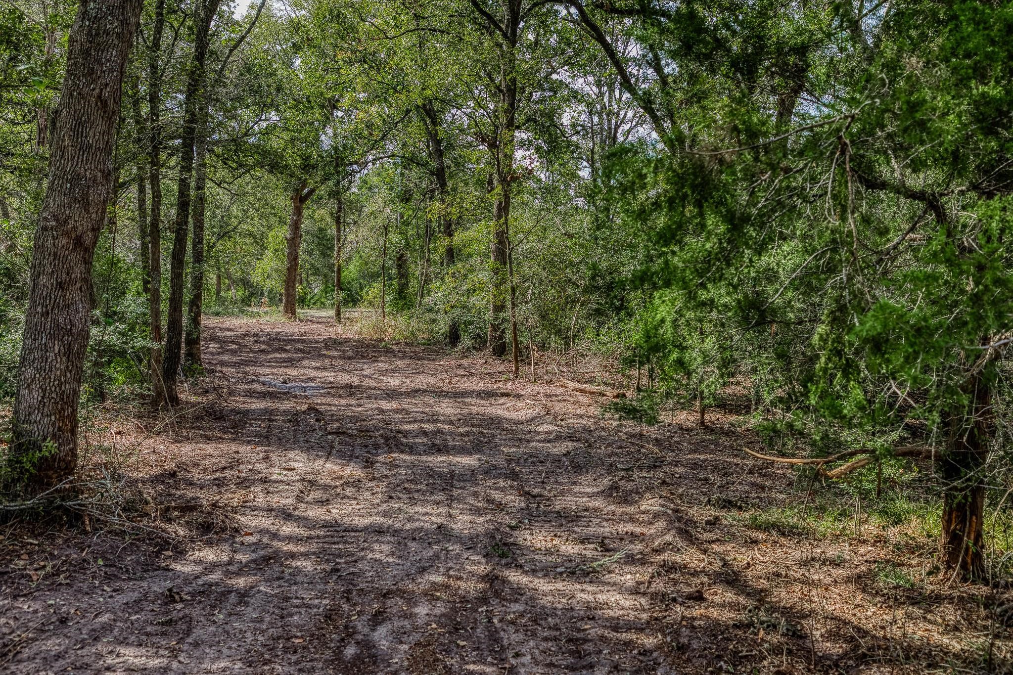 Tbd Sun Oil Road Brenham, TX 77833 - Photo 3 of 37